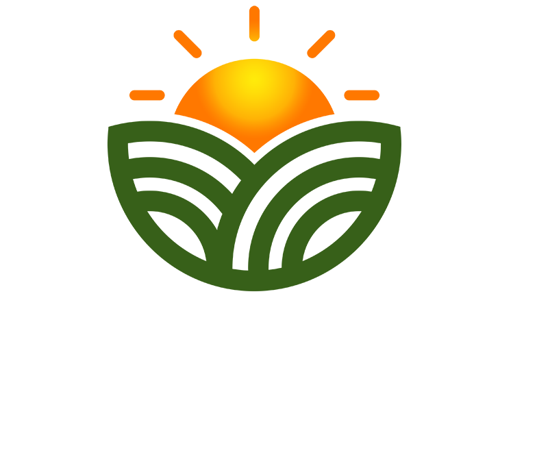 Sunshine Coffee